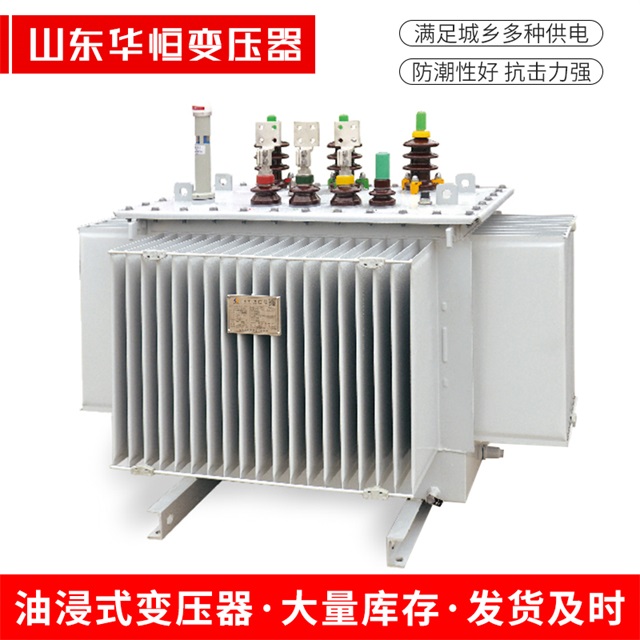 S13-10000/35随州随州随州电力变压器